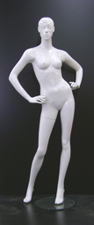 WW019-D01