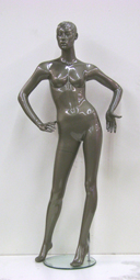 WW019-D31